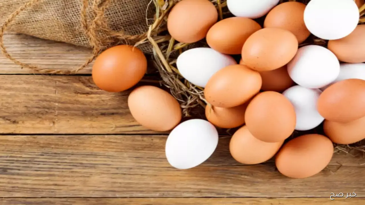 ارتفاع جديد.. سعر كرتونة البيض اليوم الاحد 21-9-2025 للمستهلك في مصر