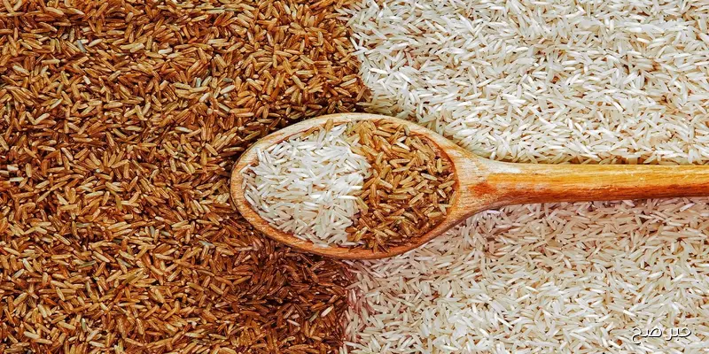«الرز رخص بسرعة».. سعر طن الأرز الشعير اليوم الجمعة 5-9-2025 للمستهلك في مصر