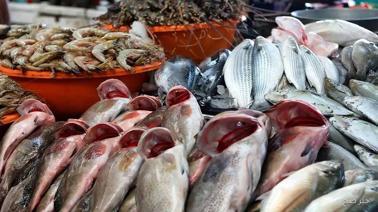 اسعار السمك اليوم في سوق العبور بتاريخ 11 سبتمبر 2025 .. تراجع المكرونة 10 جنيهات