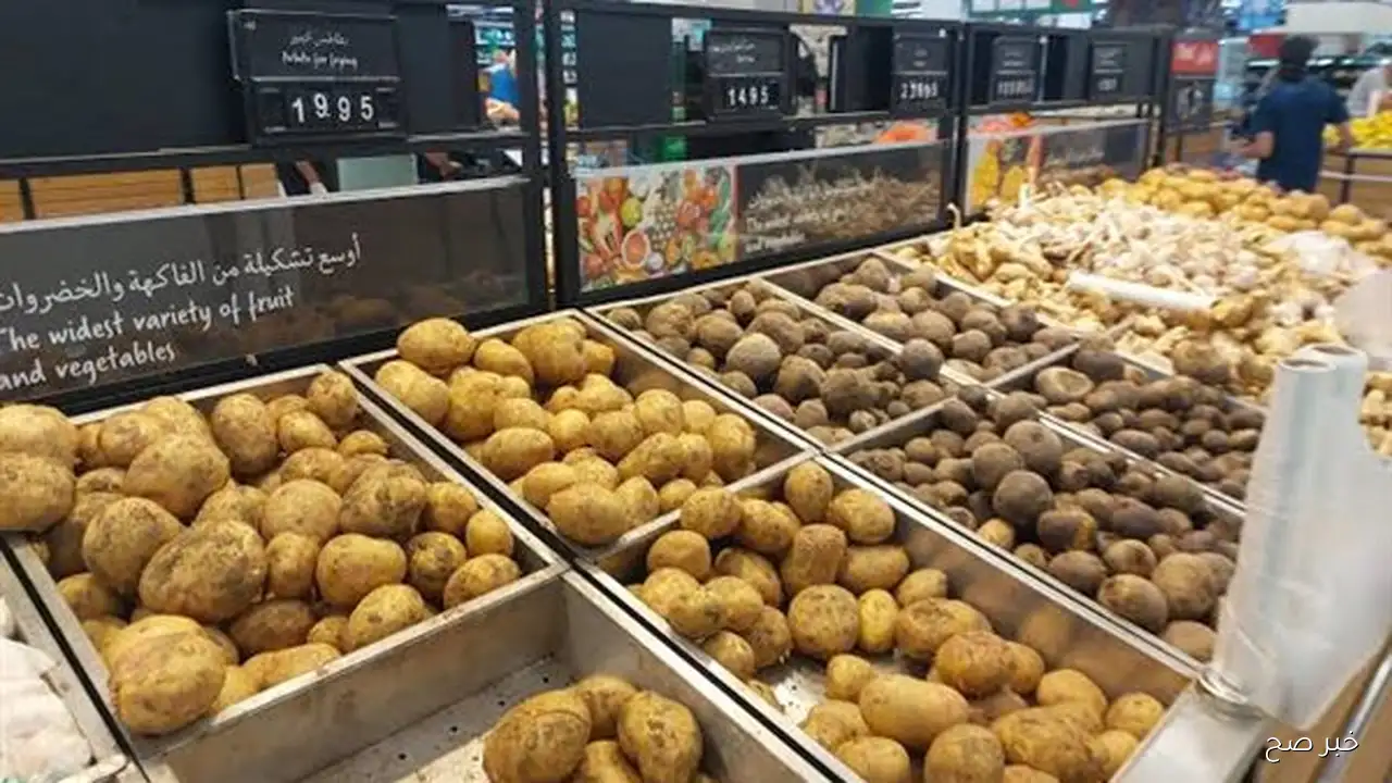 أسعار البطاطس اليوم في سوق العبور الثلاثاء 16 سبتمبر 2025 وفق آخر التحديثات