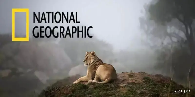 استقبل تردد قناة ناشيونال جيوغرافيك نايل سات 2025 National Geographic واستمتع بأفضل الوثائقيات الرائعة الآن