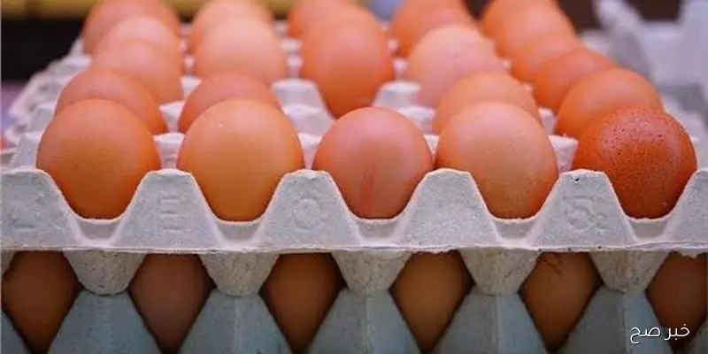 “بجميع الأنواع” .. سعر كرتونة البيض اليوم الإثنين 8\9\2025 في بورصة الدواجن وكافة الأسواق