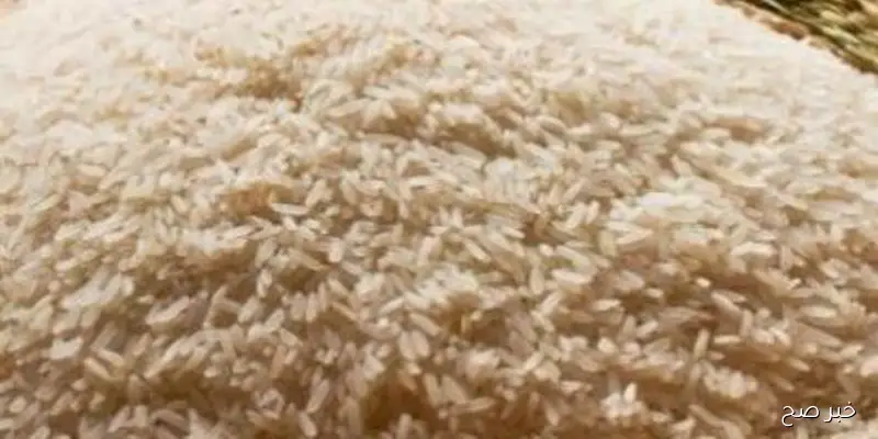 سعر الأرز الشعير الآن 2025 الثلاثاء 2/ 9/ 2025 بجميع الأسواق المحلية | أسعار السلع الغذائية