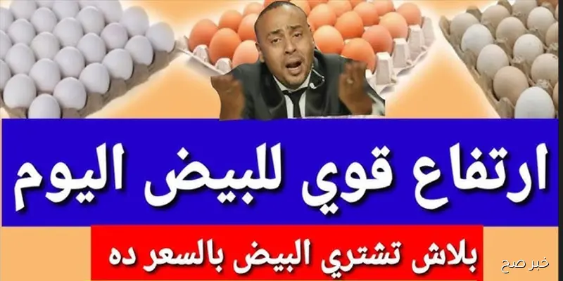 (ابيض، احمر، بلدي) سعر كرتونة البيض اليوم للمستهلك في مصر.. ارتفاع جديد يضغط على الأسواق