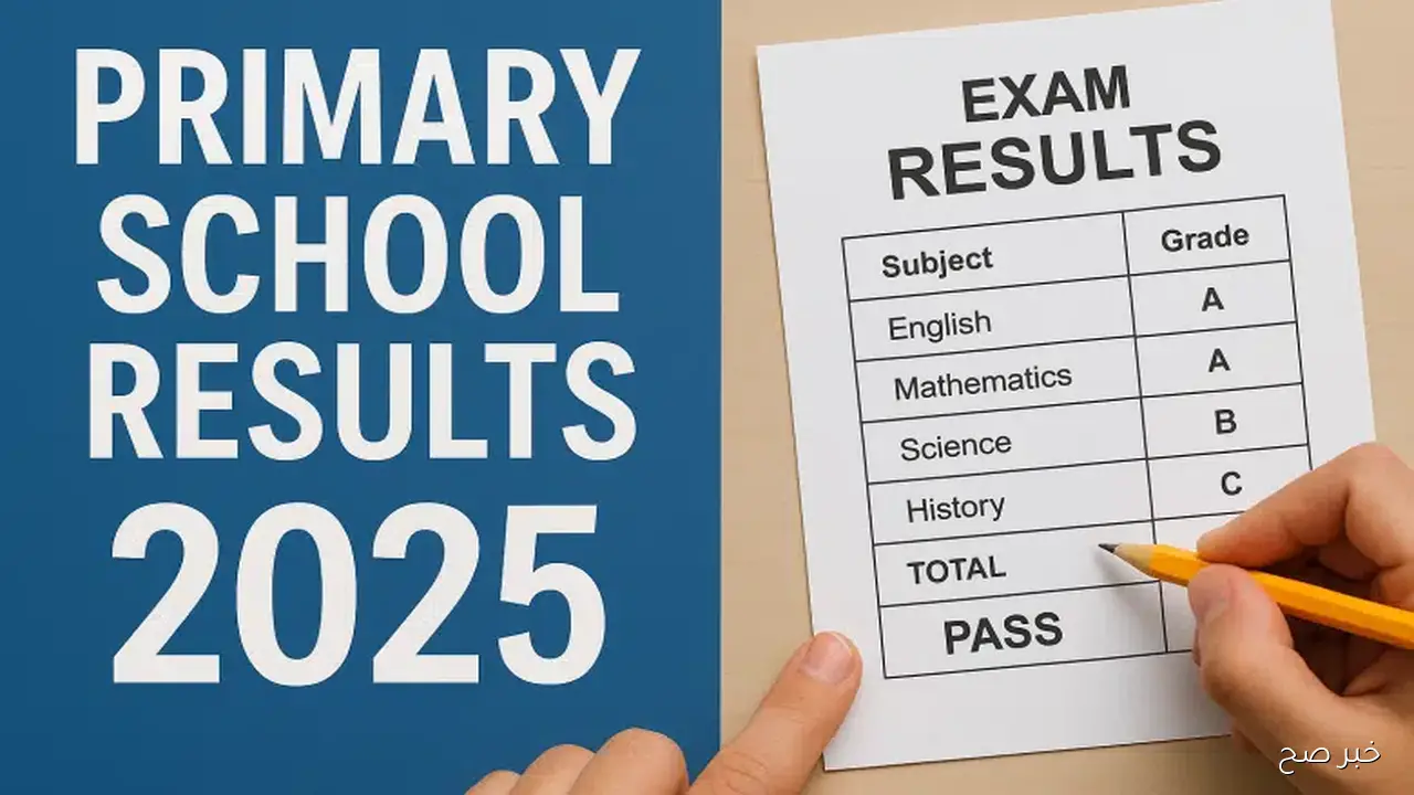 حملها PDF حالا.. نتائج السادس الاعدادي 2025 الدور الثاني نتائجنا بالرقم الامتحاني والاسم جميع المحافظات