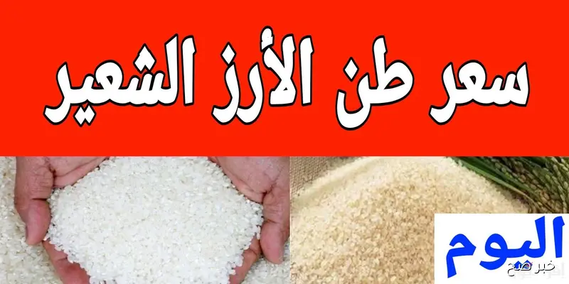 سعر طن الأرز الشعير اليوم الثلاثاء 9 أغسطس 2025 في الاسواق والمضارب المصرية