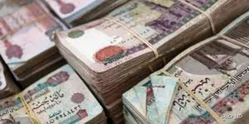 التأمينات الاجتماعيه تعلن جدول زيادة المعاشات 2025 بالزيادة السنوية المقررة بنسبة 15%