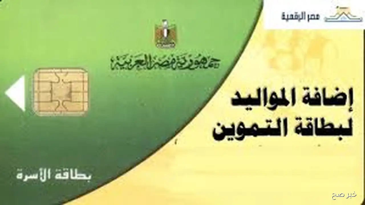 خطوات إضافة المواليد على بطاقة التموين 2025 بالرقم القومي عبر digital.gov.eg