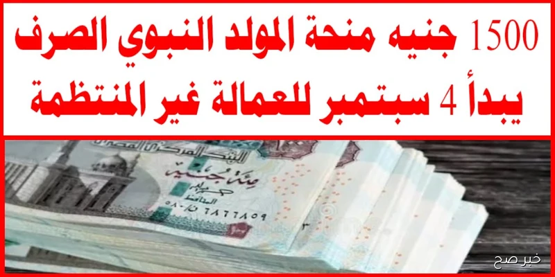 صرف 1500 جنيه منحة العمالة الغير منتظمة بمناسبة المولد النبوي 2025.. رابط الاستعلام والفئات المستحقة