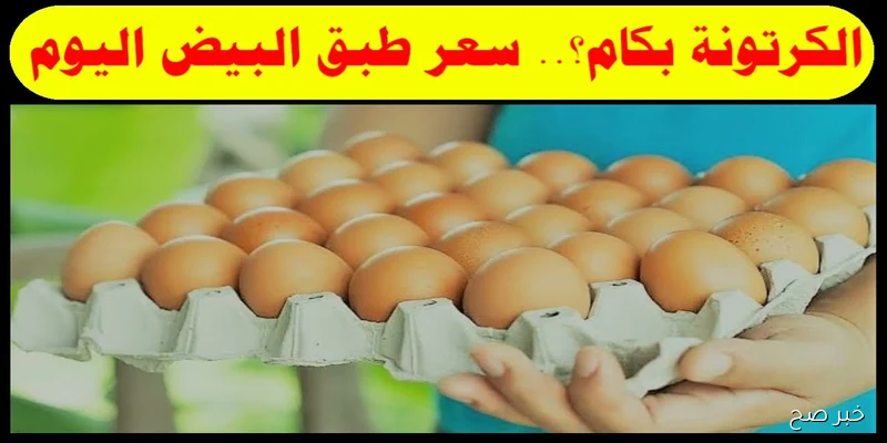 (ابيض واحمر) ارتفاع سعر كرتونة البيض اليوم في مصر.. بين تكاليف الإنتاج وجشع الأسواق