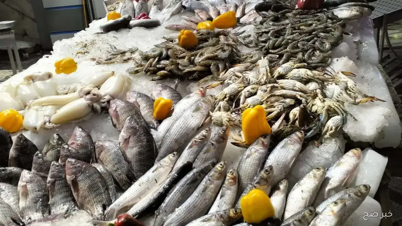 اسعار السمك اليوم للمستهلك الخميس 25 سبتمبر 2025 داخل سوق العبور وحلقات الاسماك ..البلطي بـ 80 جنيها
