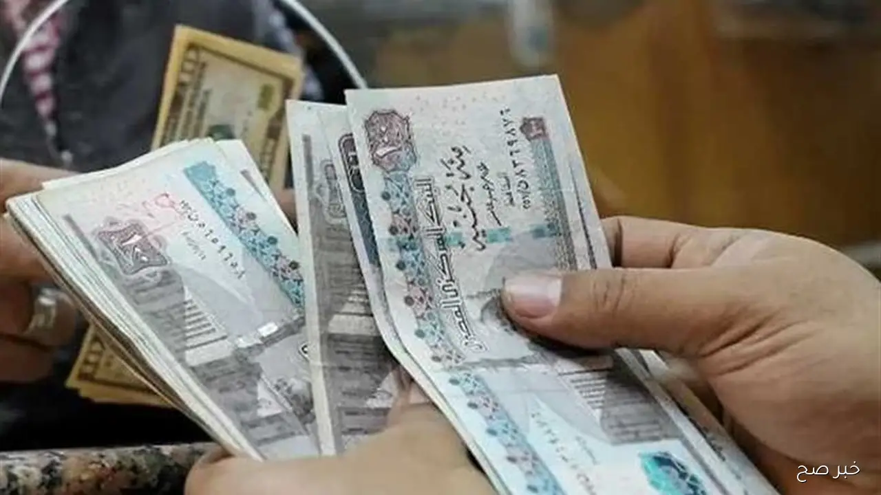 بزيادة 15%.. موعد صرف معاشات شهر نوفمبر 2025 لجميع الشرائح وفقًا لقرار التأمينات الاجتماعية