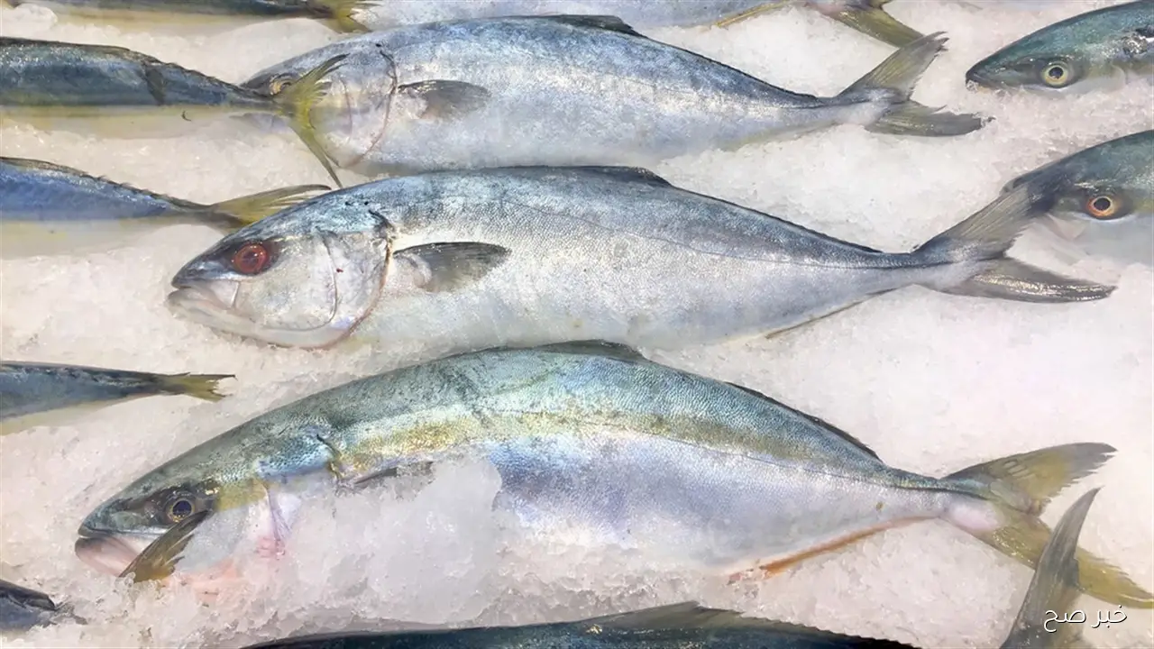 “ارتفاع البلطي” أسعار السمك اليوم الأحد 19-10-2025 في سوق العبور بعد زيادة البنزين