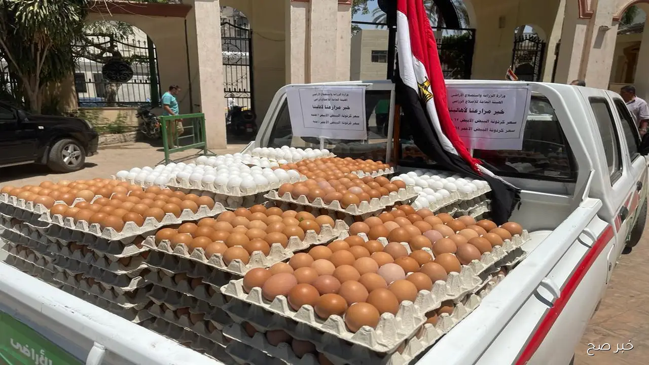 أبيض وأحمر وبلدي.. سعر كرتونة البيض اليوم الاربعاء 29 اكتوبر 2025 في جميع الاسواق المحلية