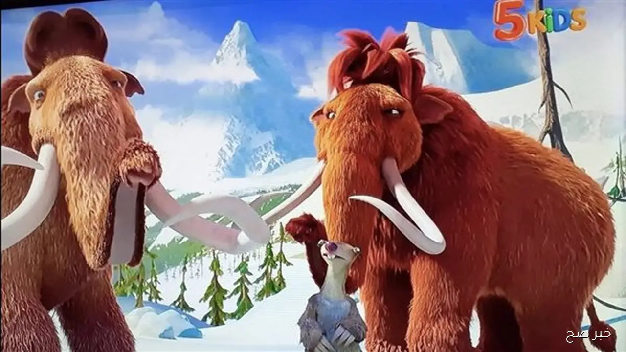 تردد قناة 5 kids الجديد 2025 على النايل والعرب سات لمتابعة افضل افلام الكرتون بجوده عاليه