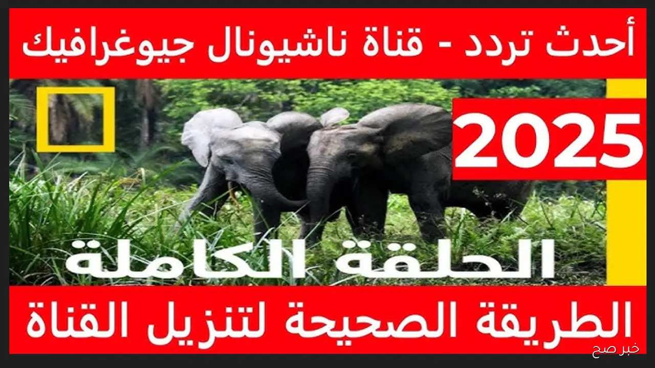 تردد قناة ناشيونال جيوغرافيك 2025 لمتابعة أحدث البرامج الوثائقية بجودة عالية