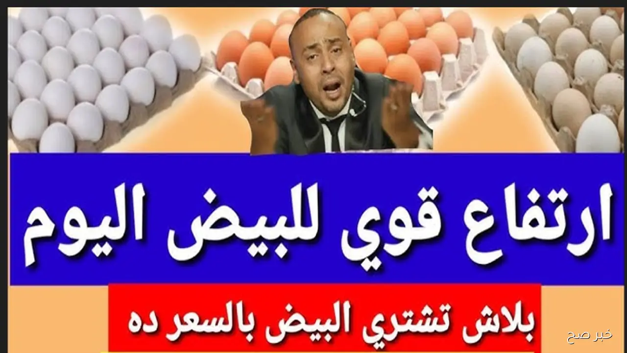 ارتفاع سعر كرتونة البيض اليوم للمستهلك في الاسواق المصرية (ابيض واحمر وبلدي)