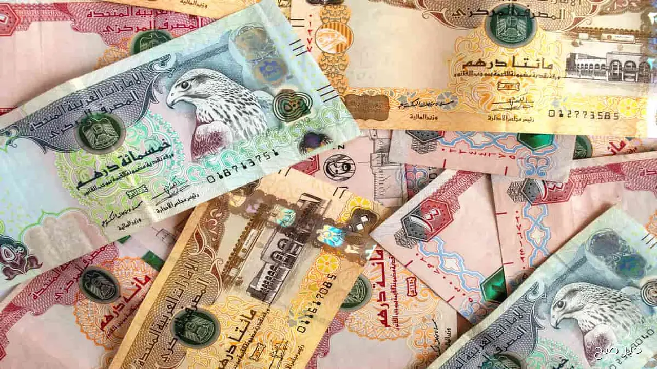 سعر الدرهم الإماراتي مقابل الجنيه المصري اليوم الاربعاء 29-10-2025 في البنوك والسوق السوداء