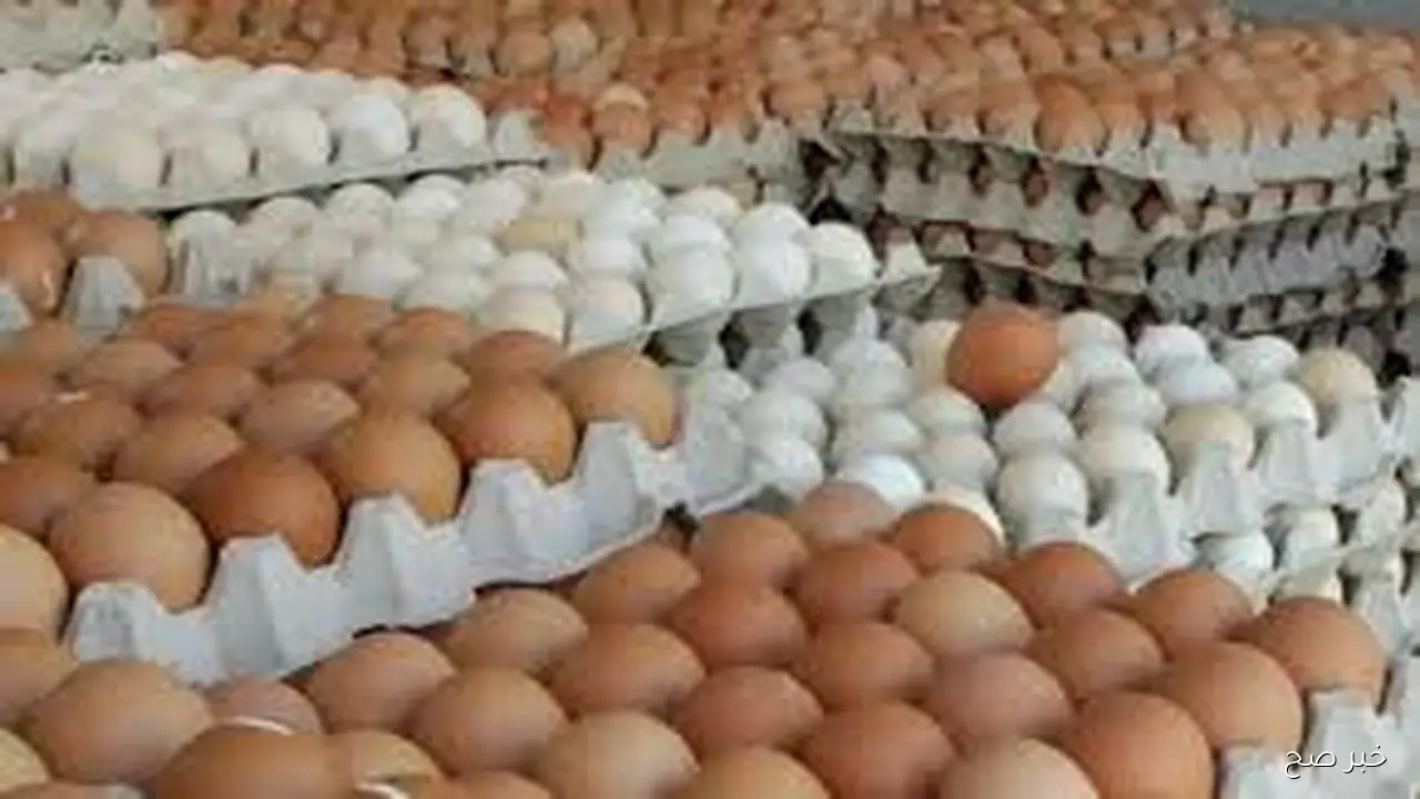 بكام سعر كرتونة البيض اليوم للمستهلك الاربعاء 8/ 10/ 2025 في جميع الأسواق التجارية