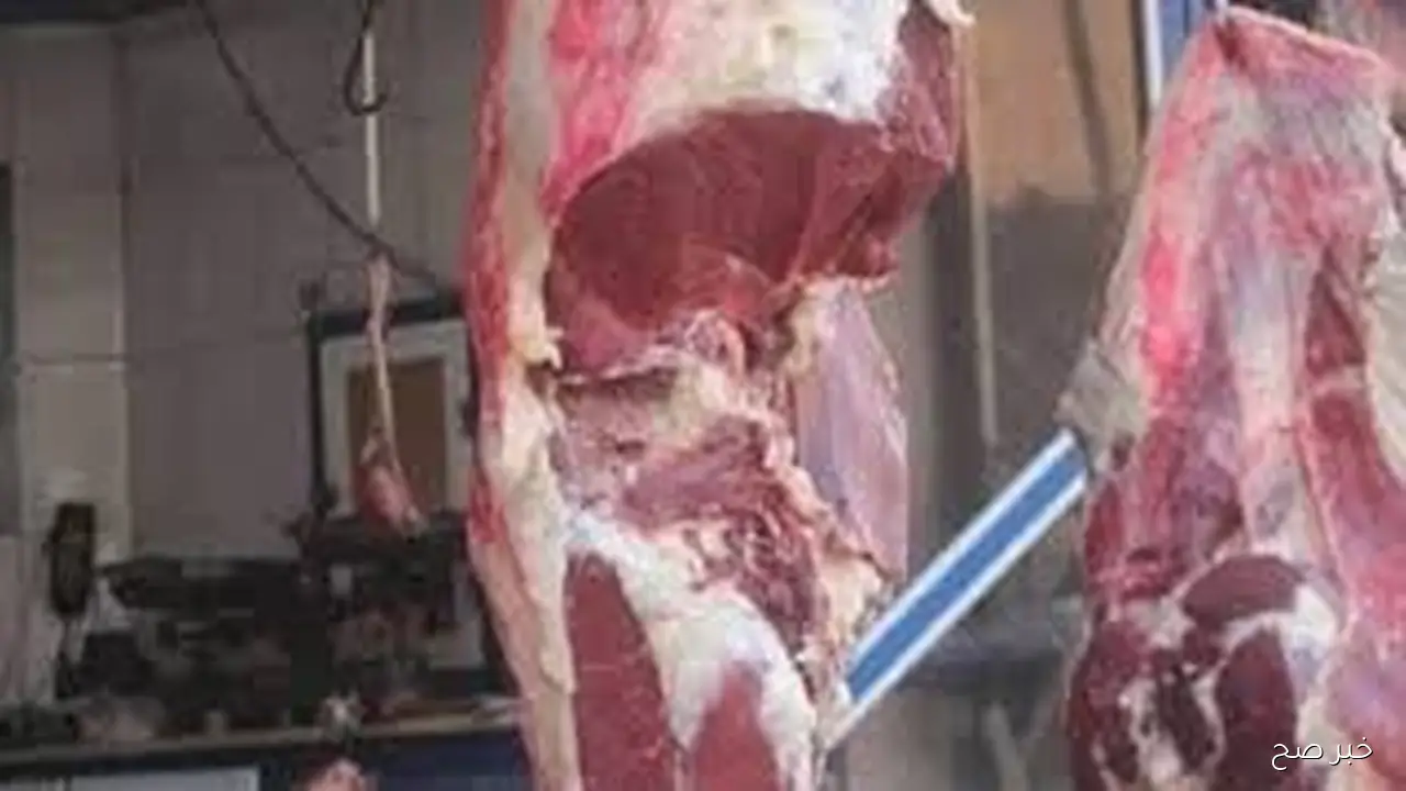 اسعار اللحوم الحمراء اليوم الأحد 12 أكتوبر 2025 بالمجمعات الاستهلاكيه ومحلات الجزارة