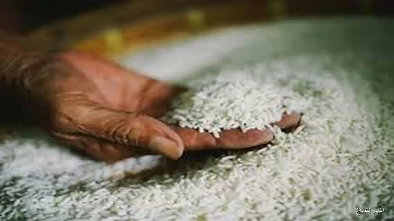 تحديث جديد في سعر طن الأرز الابيض اليوم الثلاثاء 14اكتوبر 2025 في الأسواق المحلية