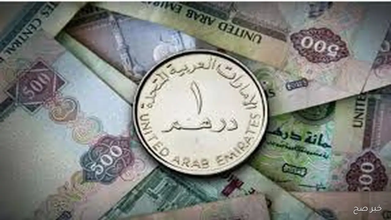 تراجع طفيف في سعر الدرهم الاماراتي اليوم أمام الجنيه المصري في عدد من البنوك المصرية