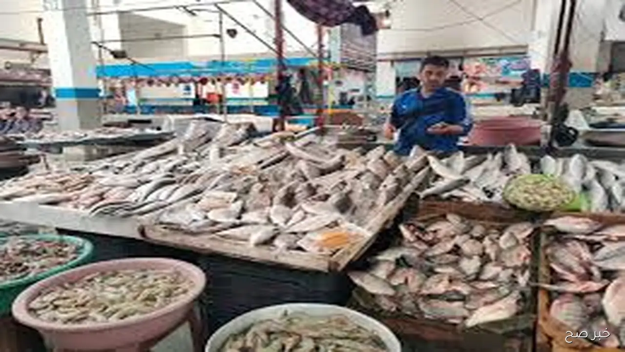 قائمة اسعار السمك اليوم بمستهل ختام تعاملات الخميس 23 أكتوبر 2025 باسواق الجمله