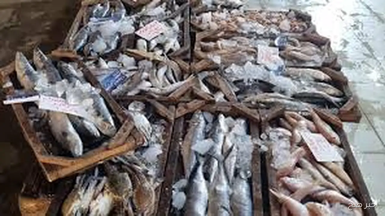 بالجمله والقطاعي.. اسعار السمك اليوم للمستهلك الاحد 26 أكتوبر 2025 بالاسواق المصرية