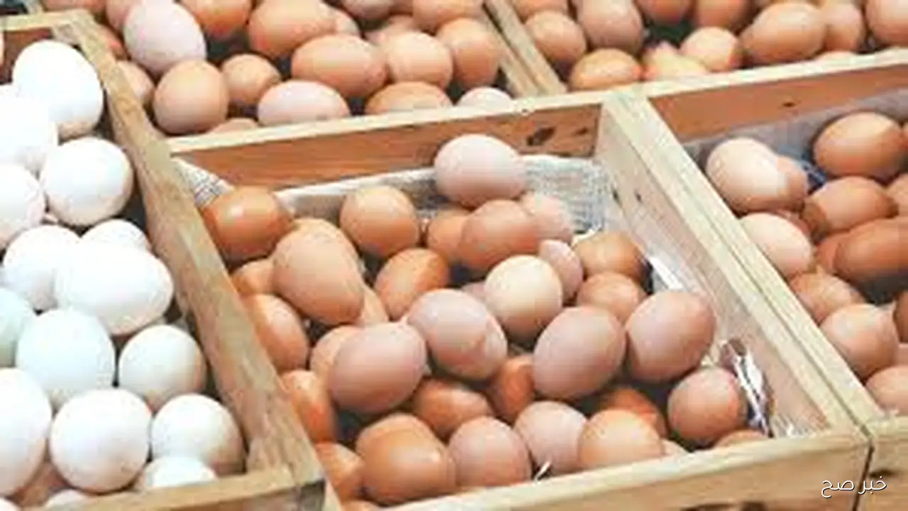 سعر كرتونة البيض اليوم للجمله وللمستهلك بختام تعاملات الاحد 26 اكتوبر 2025 وفق آخر تحديث