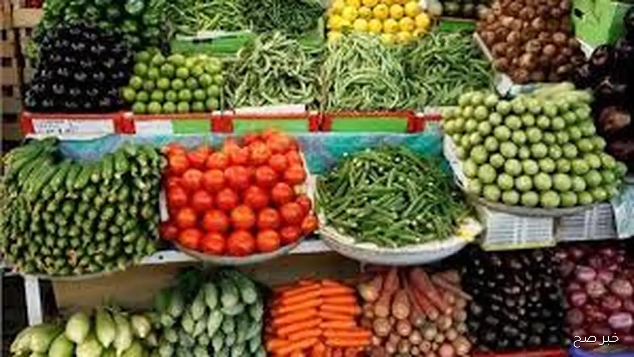 جدول اسعار الخضروات والفاكهة اليوم الثلاثاء 28 اكتوبر 2025 باسواق الجمله