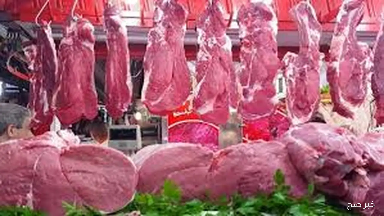قائمة اسعار اللحوم الحمراء اليوم الأربعاء 29 أكتوبر 2025 بمحلات الجزارة ومنافذ البيع
