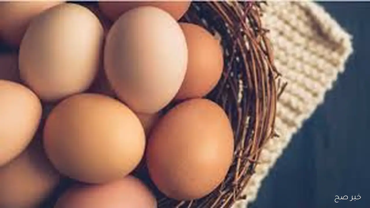 “ابيض واحمر” سعر البيض اليوم الجمعة 24-10-2025 للمستهلك في مصر