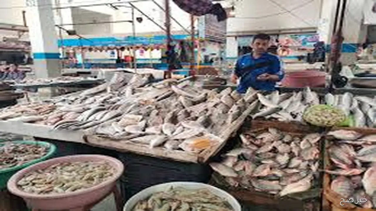 قائمة اسعار السمك اليوم الخميس 30 اكتوبر 2025 بشوادر وحلقات الاسماك للجمله