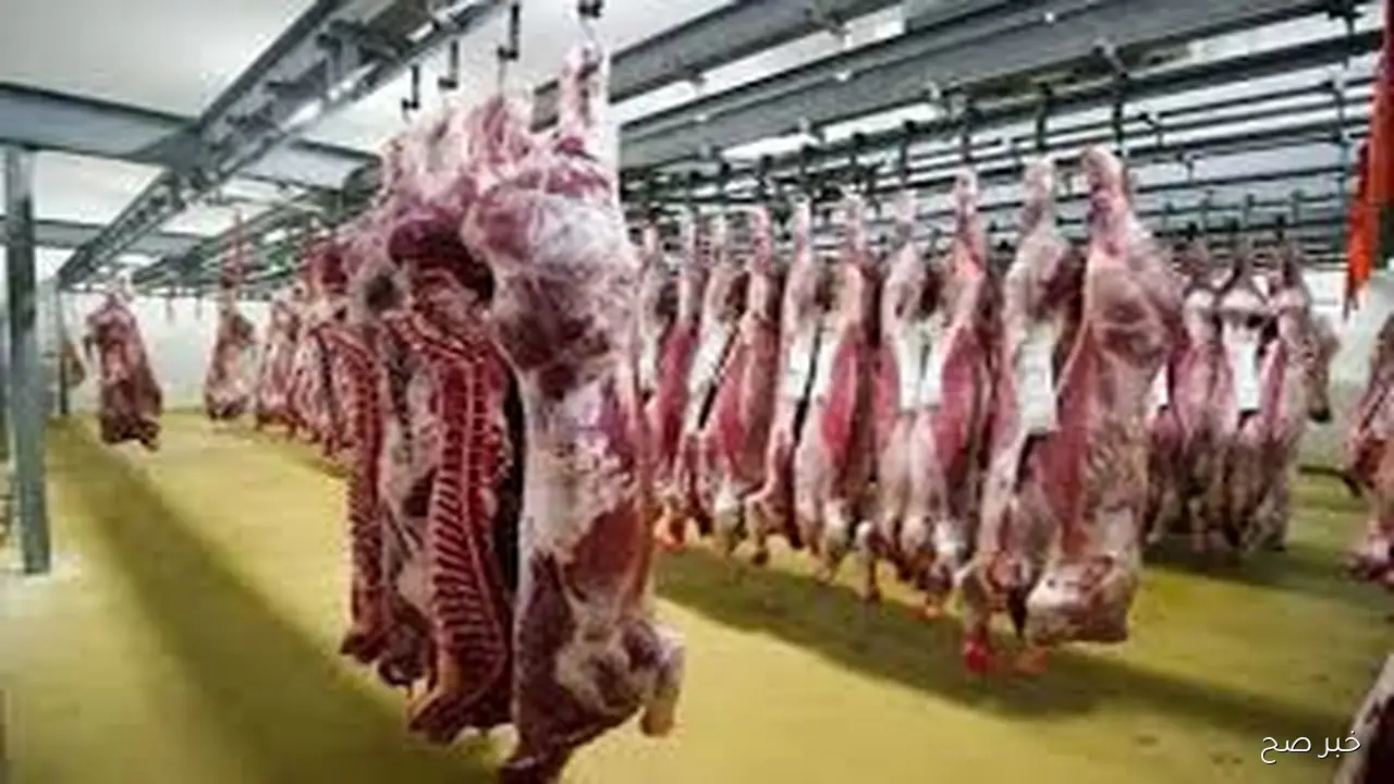 قائمة اسعار اللحوم اليوم السبت 11 أكتوبر 2025 بمحلات الجزارة والمجمعات الاستهلاكية