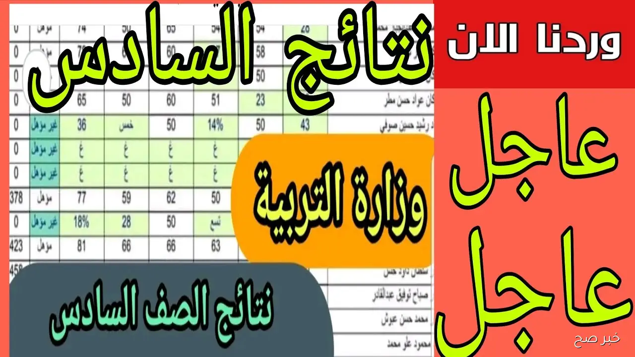 «مُتاحة PDF هنا».. نتائج السادس الابتدائي 2025 الدور الثالث بالرقم الامتحاني عبر موقع وزارة التربية