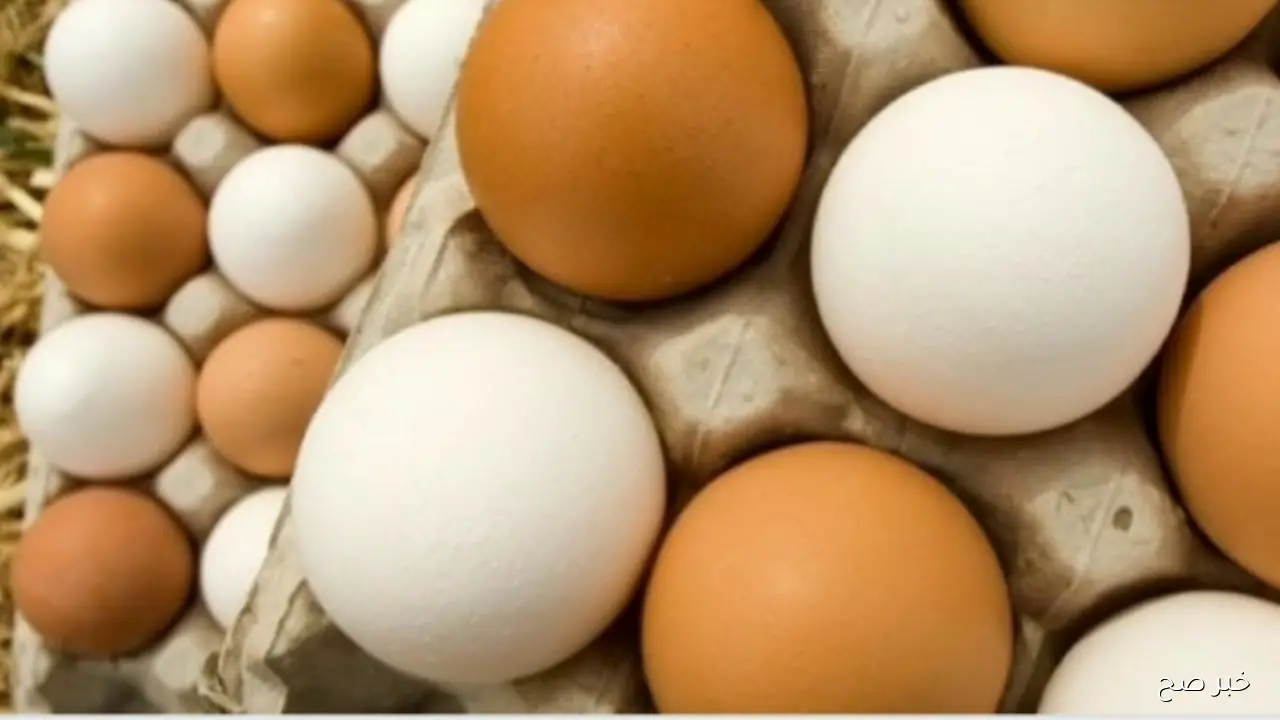 سعر كرتونة البيض اليوم للمستهلك الخميس 30/ 10/ 2025 في جميع الاسواق المحلية
