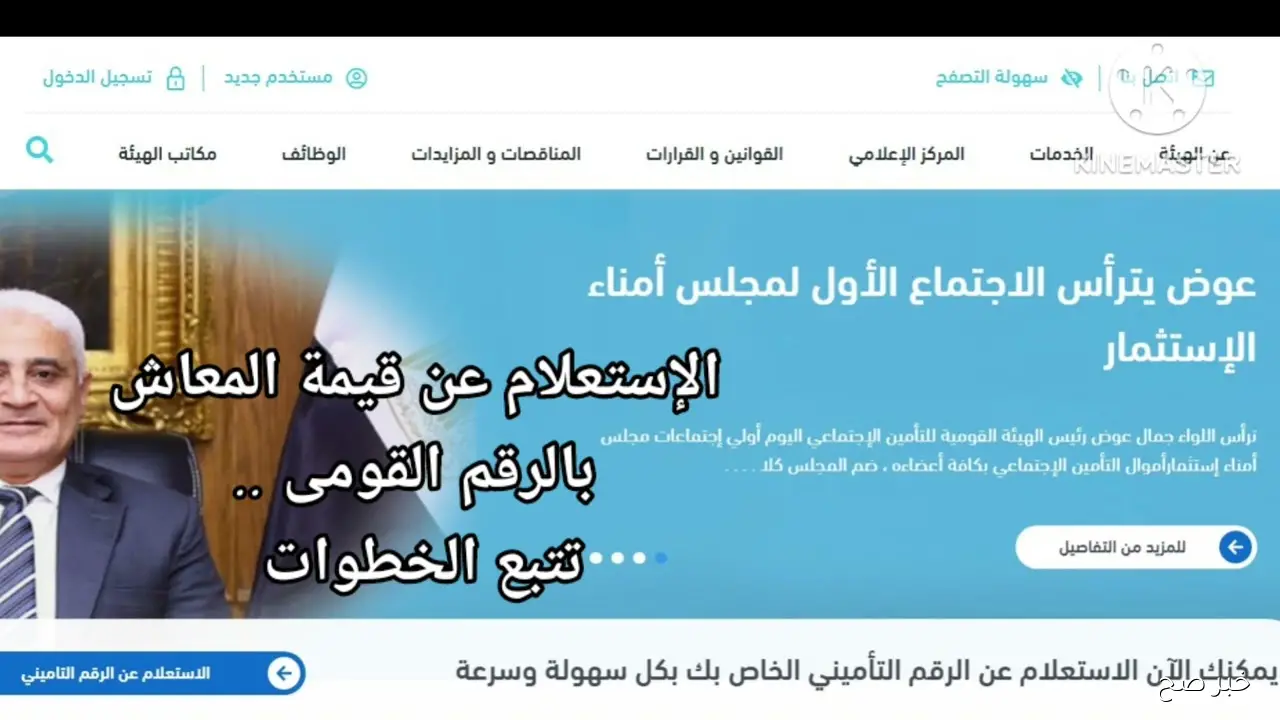 رابط مباشر.. استعلام عن معاش التأمينات بالرقم القومي 2025 عبر nosi.gov.eg