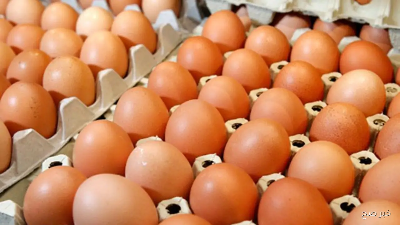 سعر كرتونة البيض البلدي والأحمر والأبيض اليوم الجمعة 17/10/2025 جُملة للمستهلك في السوق المحلية