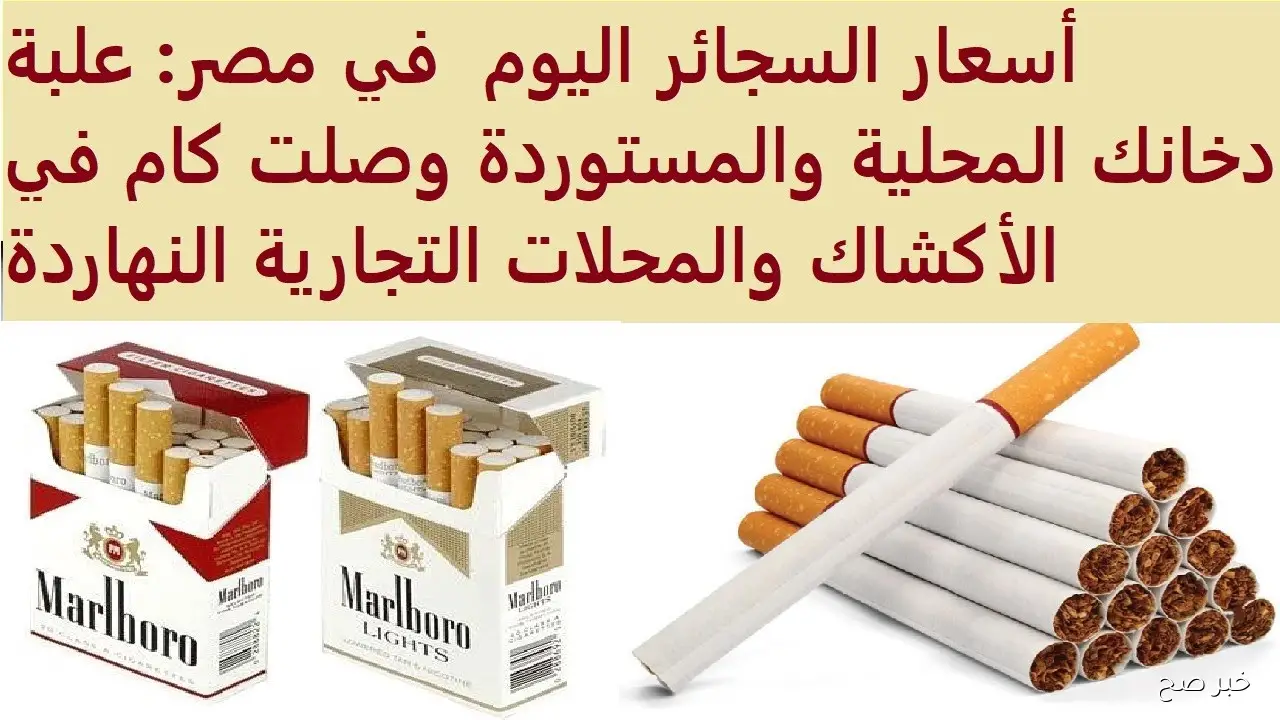 اسعار السجائر اليوم الأربعاء 8 أكتوبر 2025.. هل تستعد الأسواق لارتفاع مفاجئ؟