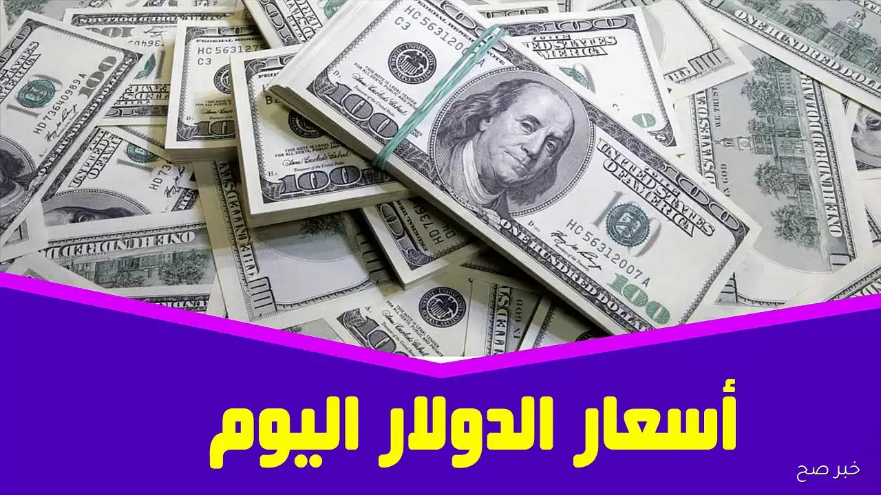 لحظة بلحظة.. أسعار العملات في السوق السوداء اليوم في مصر الاحد 19 أكتوبر 2025