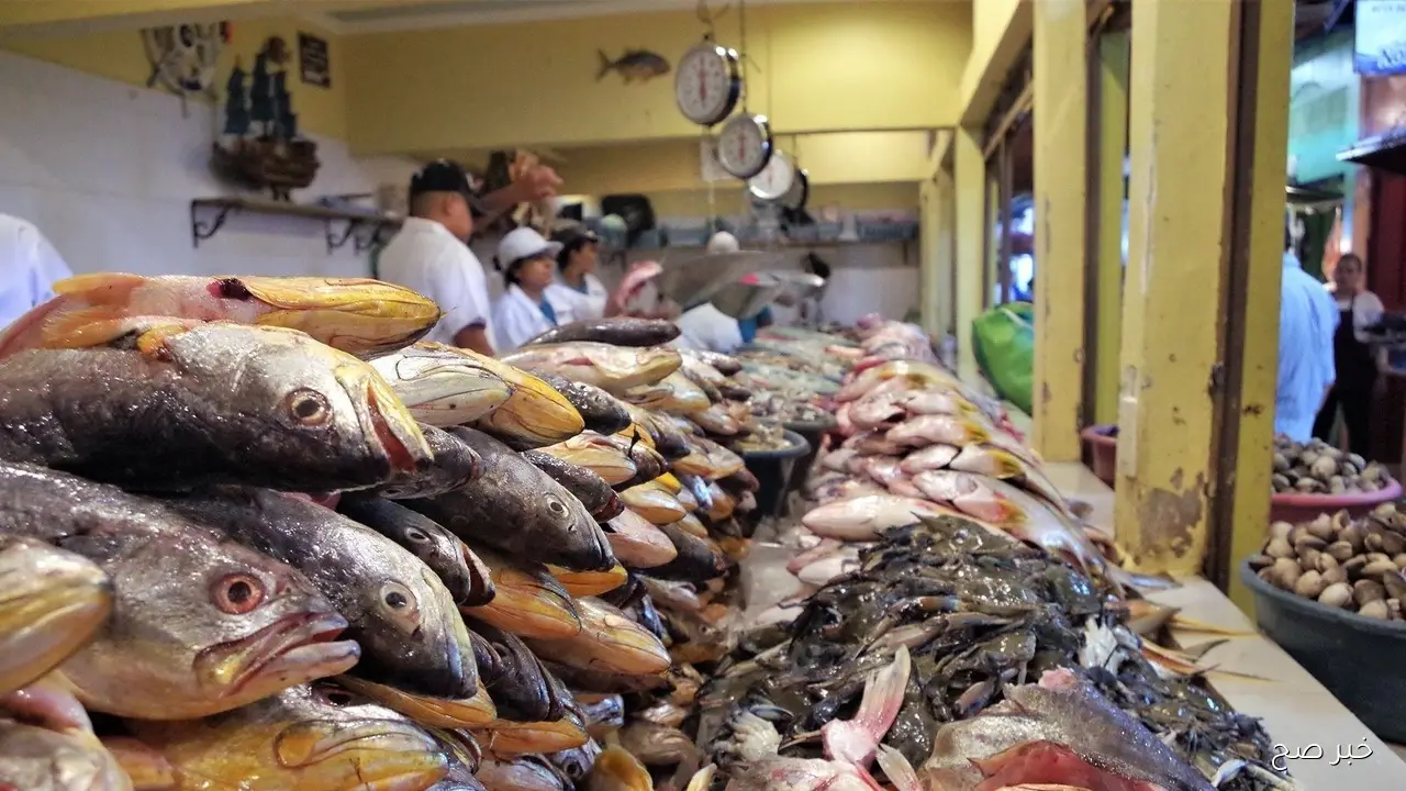 أسعار السمك اليوم الاربعاء 15 اكتوبر 2025 في سوق العبور.. انخفاض البلطي وارتفاع المكرونة