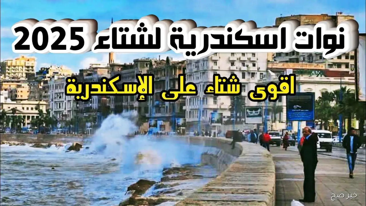 موجز نوات الاسكندرية 2025.. أمطار وعواصف ورياح شديدة متوقعة هذا الموسم