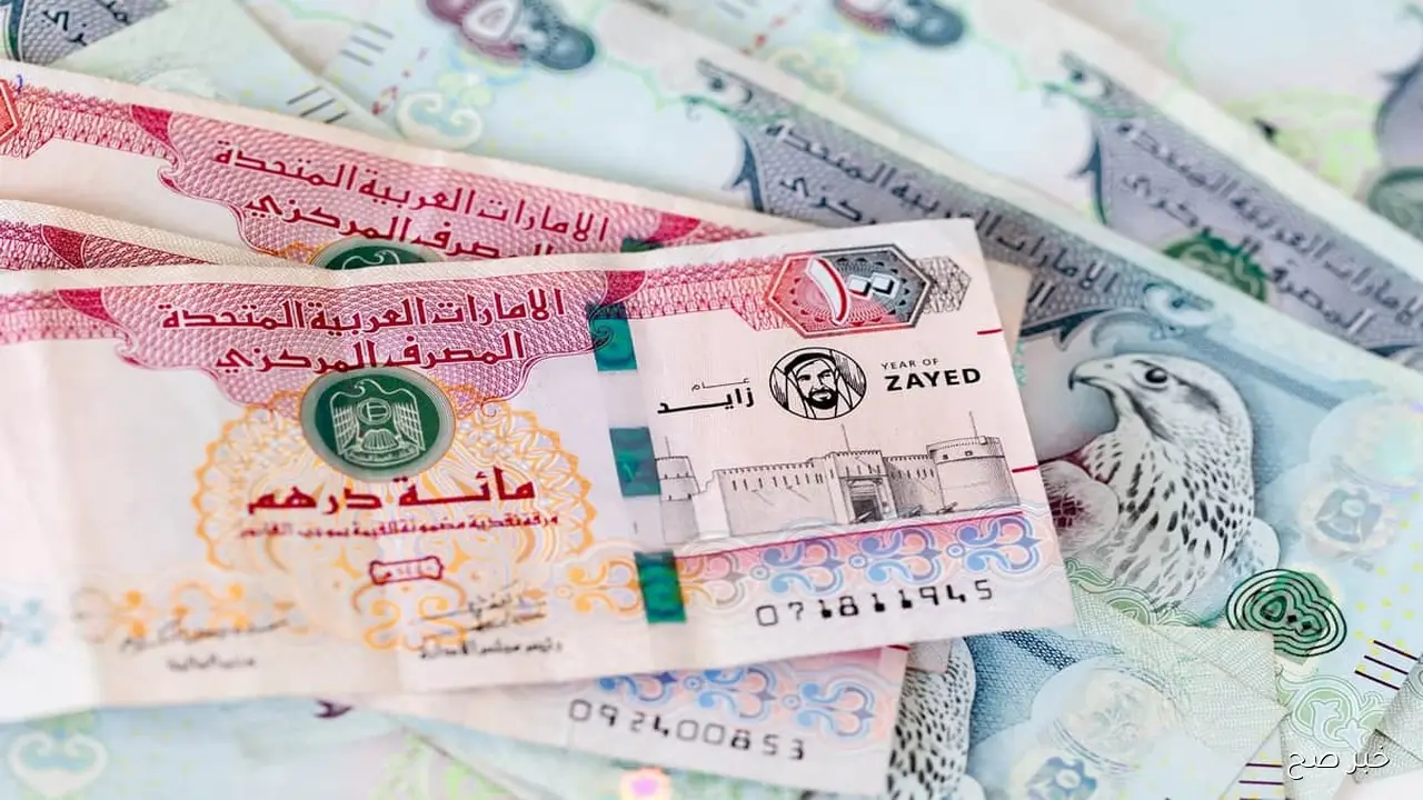 سعر الدرهم الاماراتي اليوم الخميس 13 نوفمبر 2025 مقابل الجنيه في البنوك المصرية والسوق السوداء