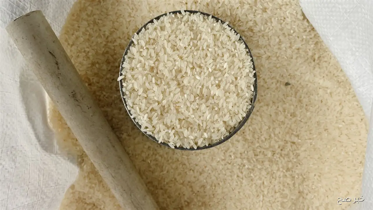 بكم الآن؟.. سعر طن الأرز الشعير اليوم الثلاثاء 11 نوفمبر 2025 بجميع الاسواق المحلية