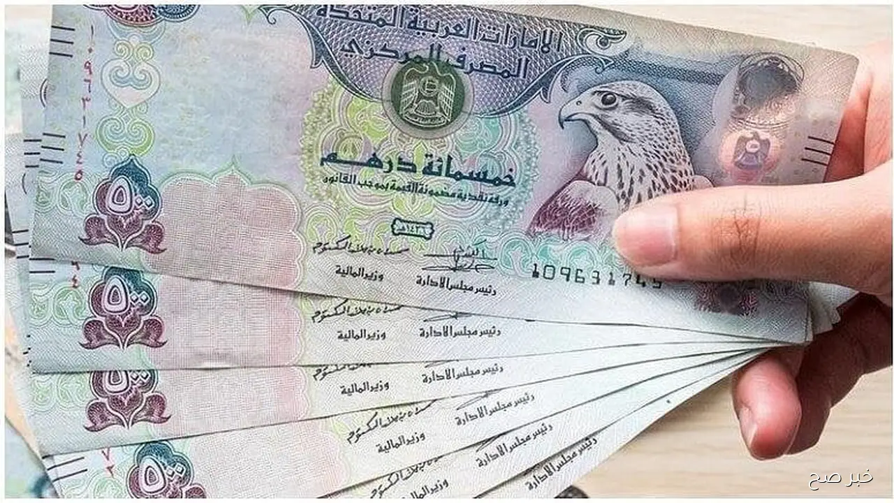 سعر الدرهم الاماراتي اليوم مقابل الجنيه المصري السبت 1 نوفمبر 2025 وفق آخر تحديث