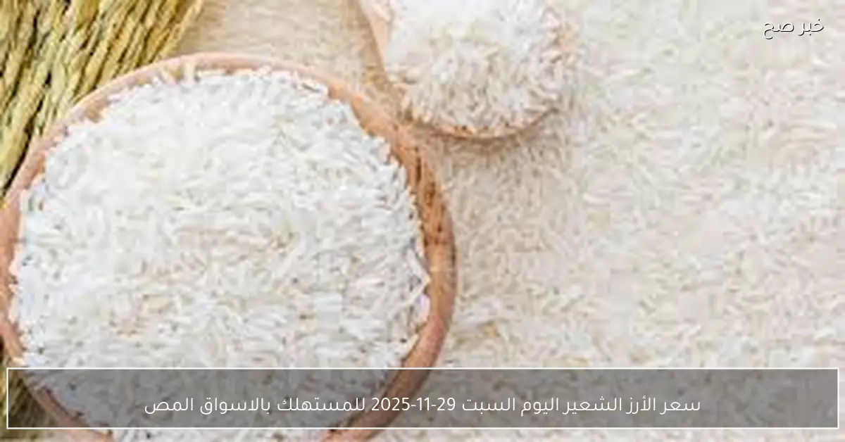 بكم الطن الان؟.. سعر الأرز الشعير اليوم السبت 29-11-2025 للمستهلك بالاسواق المصرية