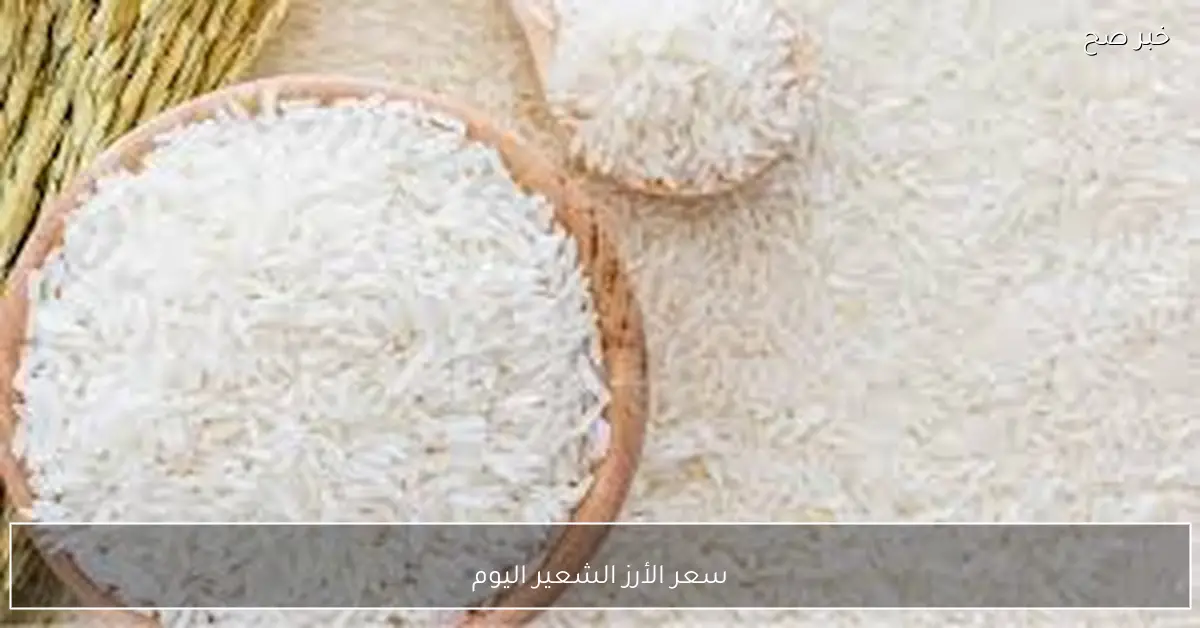 هدوء أم ارتفاع؟.. سعر الأرز الشعير اليوم الخميس 27-11-2025 بجميع الاسواق والمتاجر المحلية