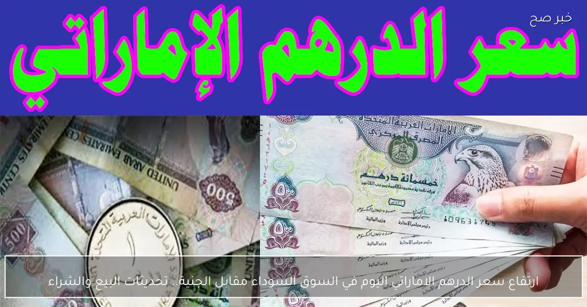 ارتفاع سعر الدرهم الاماراتي اليوم في السوق السوداء مقابل الجنية.. تحديثات البيع والشراء