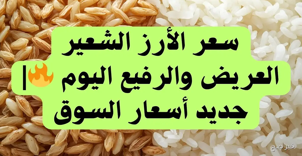 أسعار الأرز الشعير اليوم الأربعاء 26 نوفمبر 2025 في الاسواق والمضارب