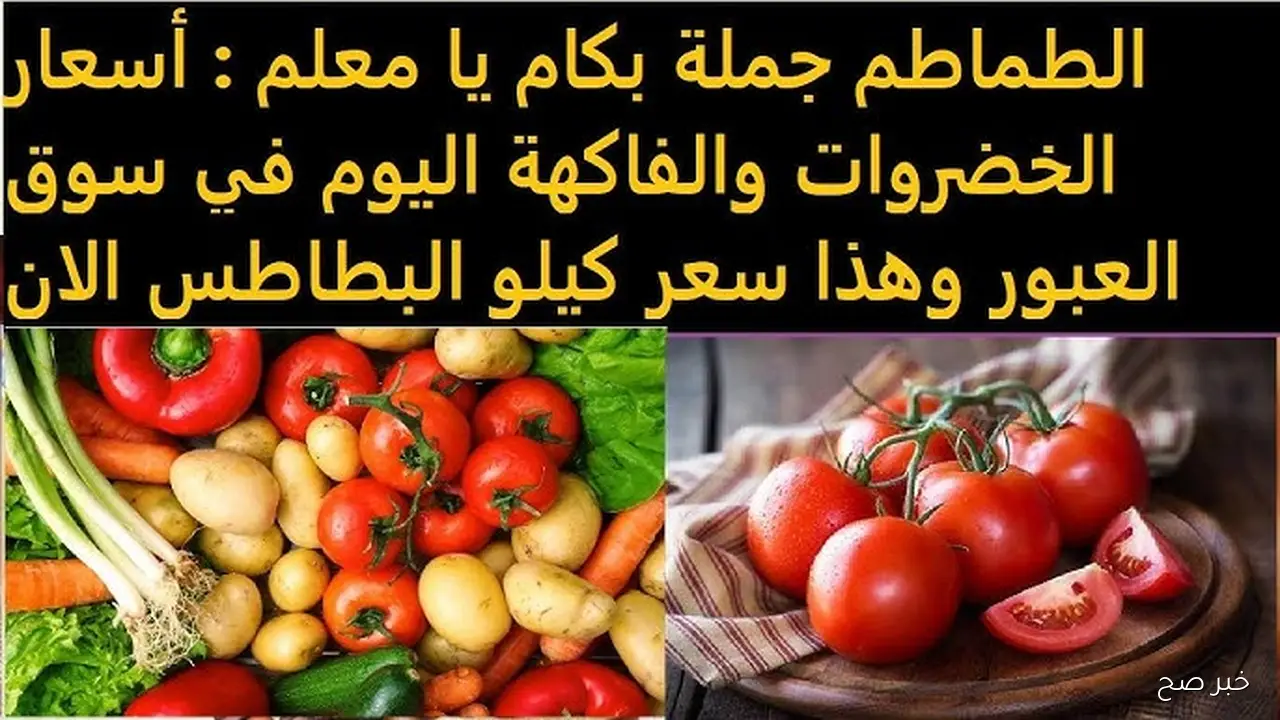 كيلو البطاطس بكام؟؟ أسعار الخضروات في سوق العبور اليوم السبت 8 نوفمبر 2025